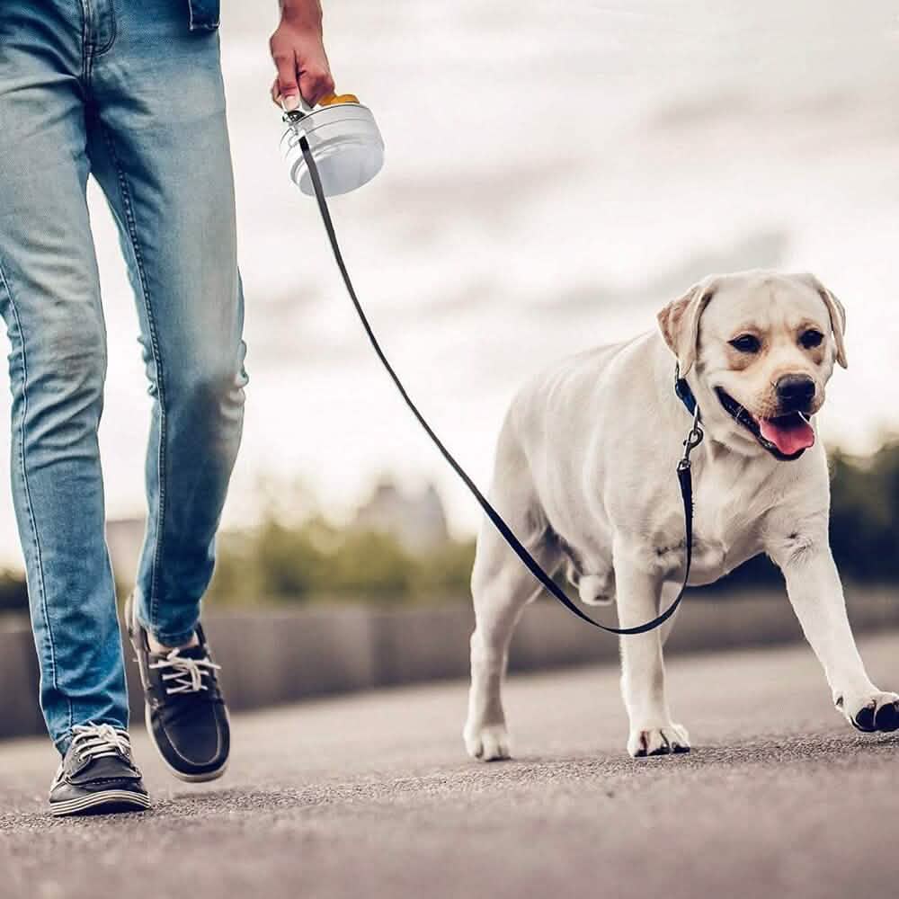 4-in-1 SitStayGo Grab n' Go Pet Dinette and Leash
