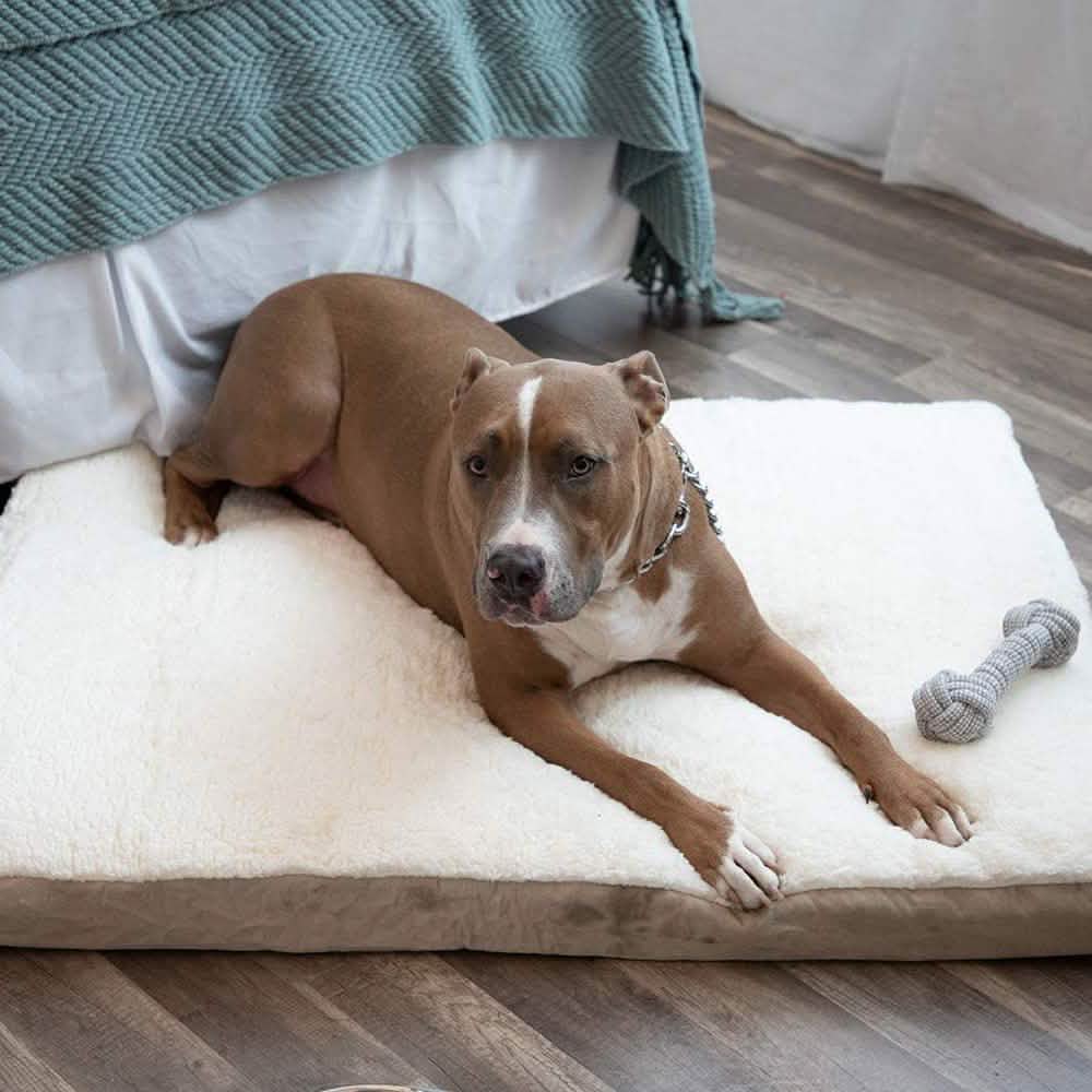 Paws & Pals Orthopedic Pet Bed Foam-Mattress for Dogs and Cats