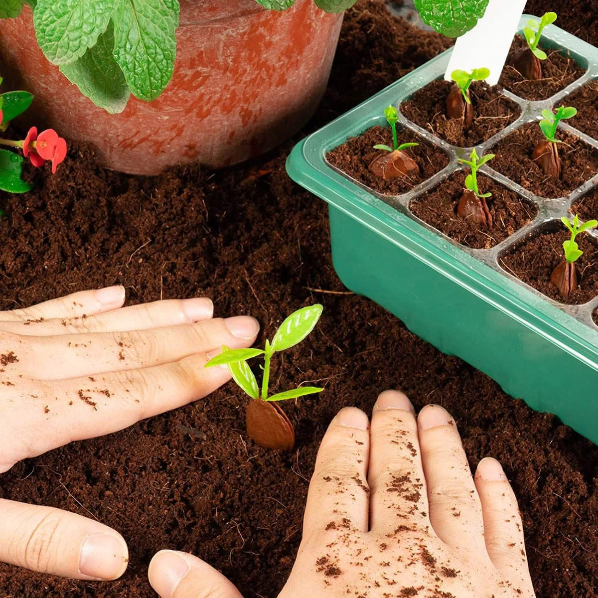 10-Piece: Reusable Seed Starter Tray Kit