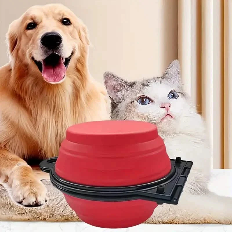 2-in-1 Collapsible Double Dog Bowl
