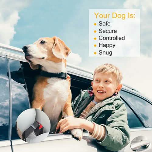 2-Pack: Multipurpose Pet Safety