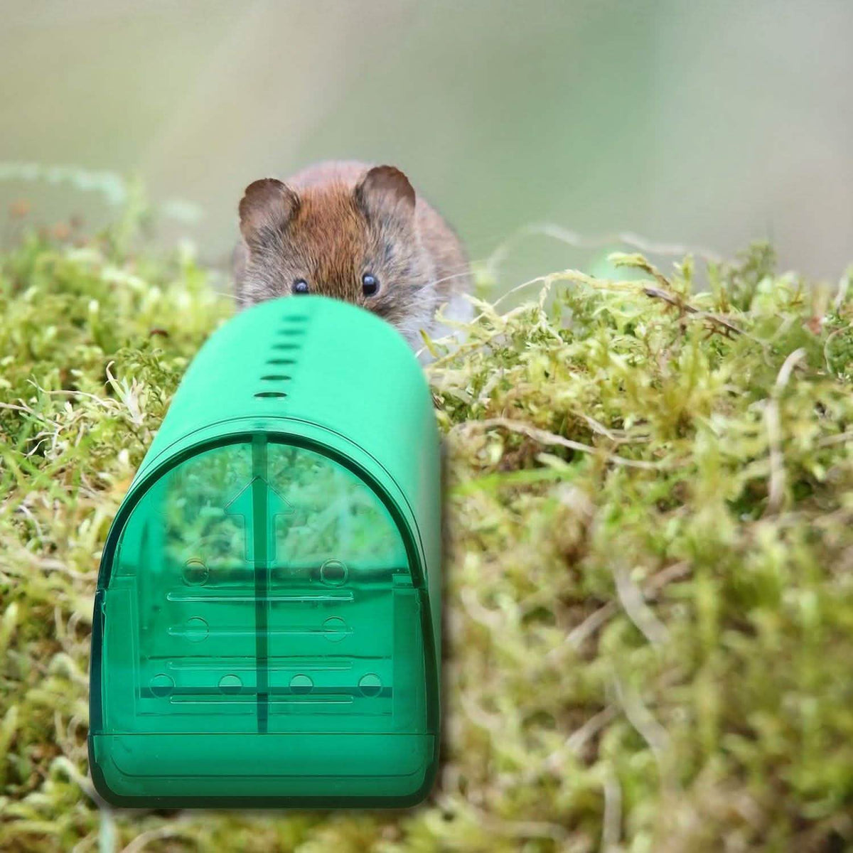 2-Pieces: Reusable Humane Mouse Trap