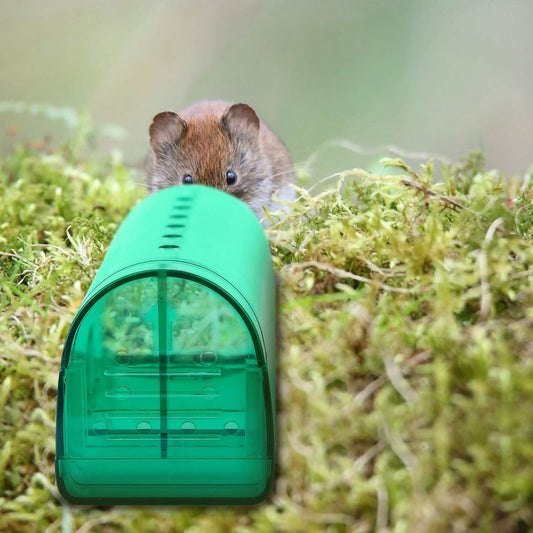 2-Pieces: Reusable Humane Mouse Trap