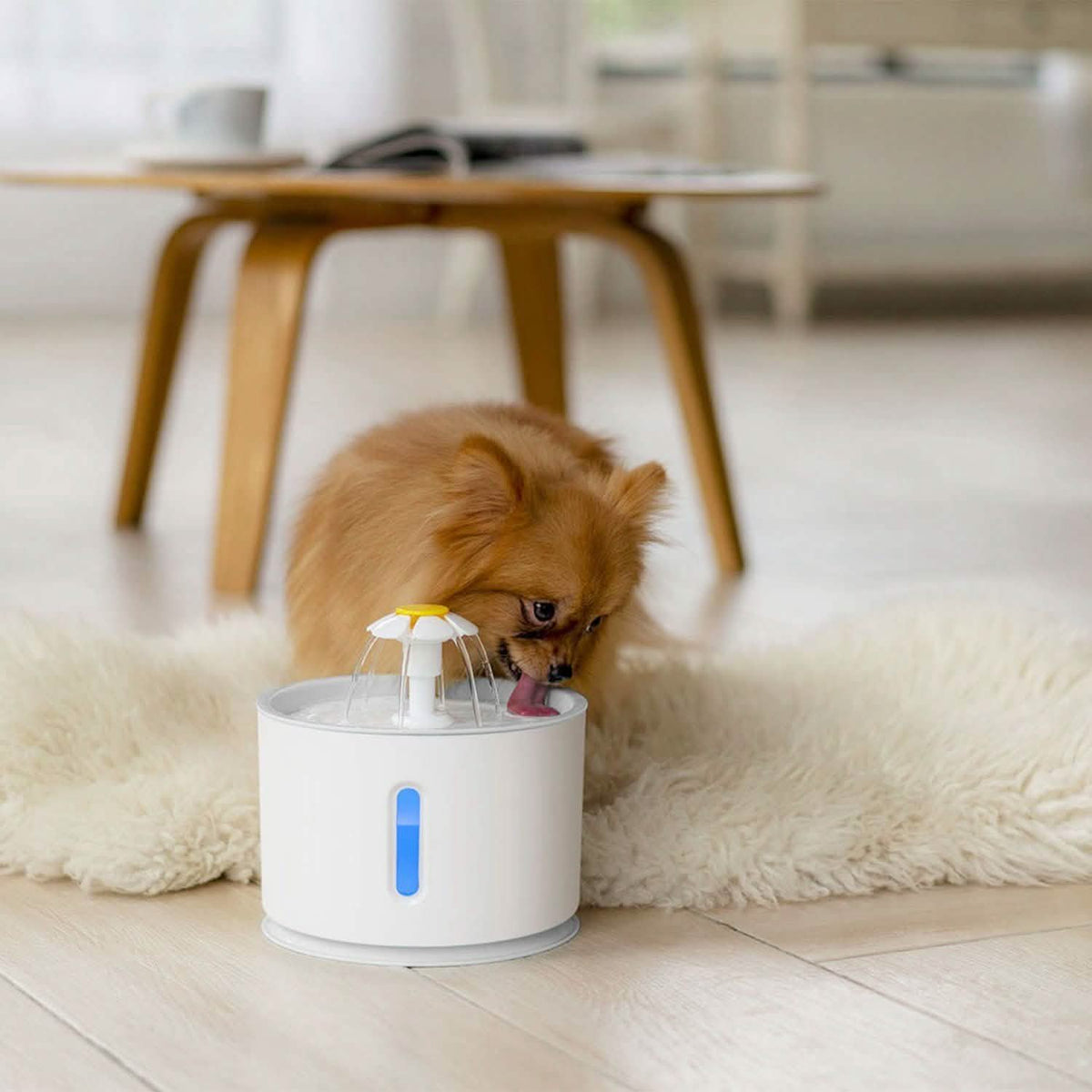 2.4L Automatic Pet Water Fountain