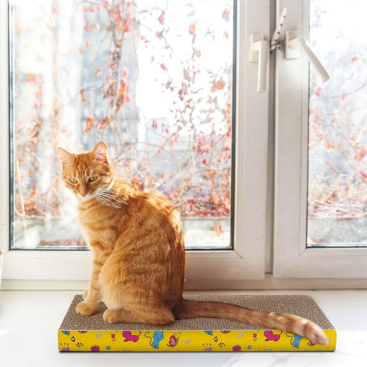 3-Piece: Cat Scratcher Pads