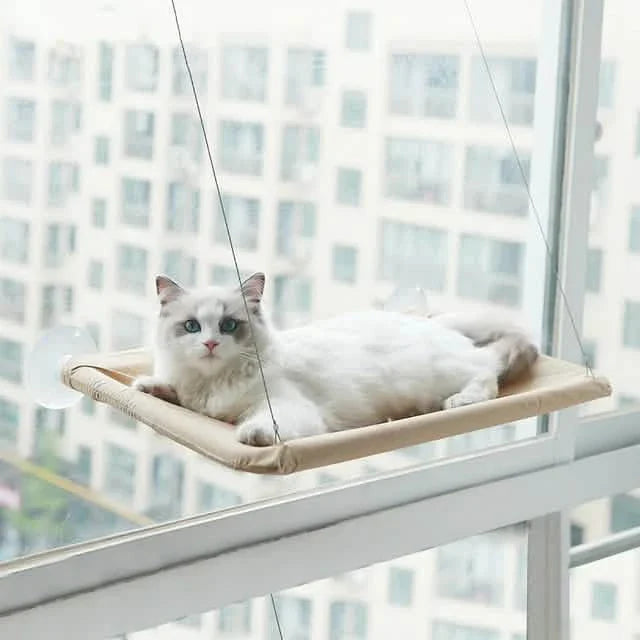 360¬∞ Cat Window Hammock: A Space-Saving Sunny Seat for Indoor Cats!