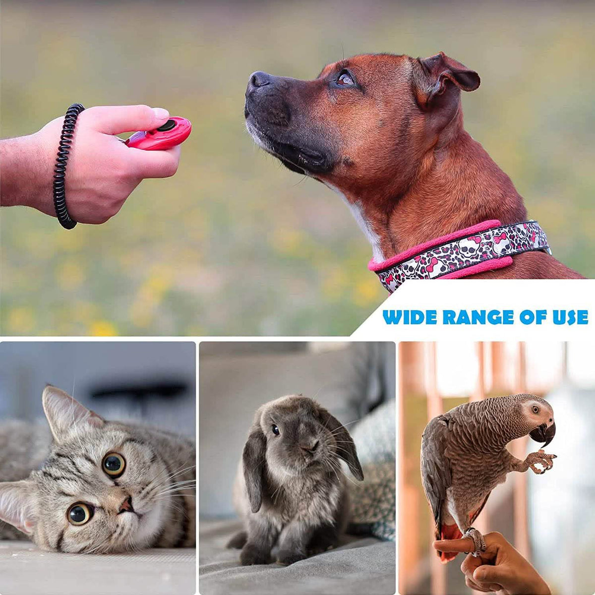 4-Pack: OYEFLY Dog Training Clicker with Wrist Strap