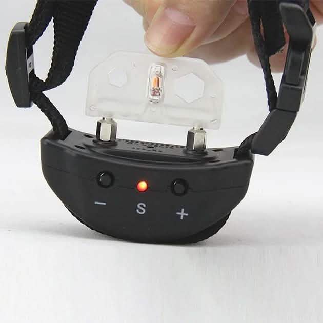 4Pet Advanced No Bark Dog Training Collar with Clicker