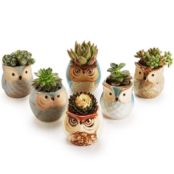6-Pack: 2.5 Inch Owl Pot Ceramic Base