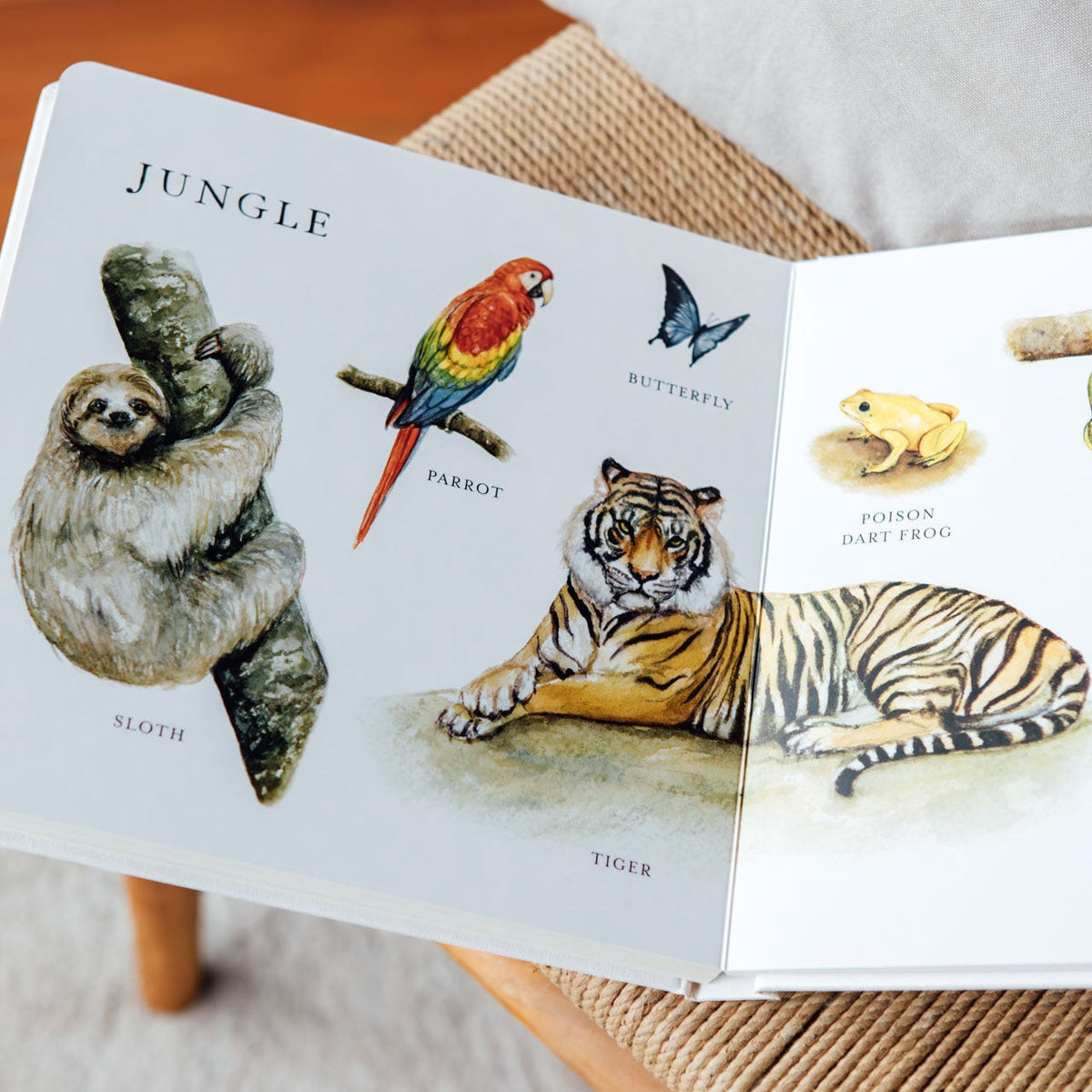 Our Big Book of Animals
