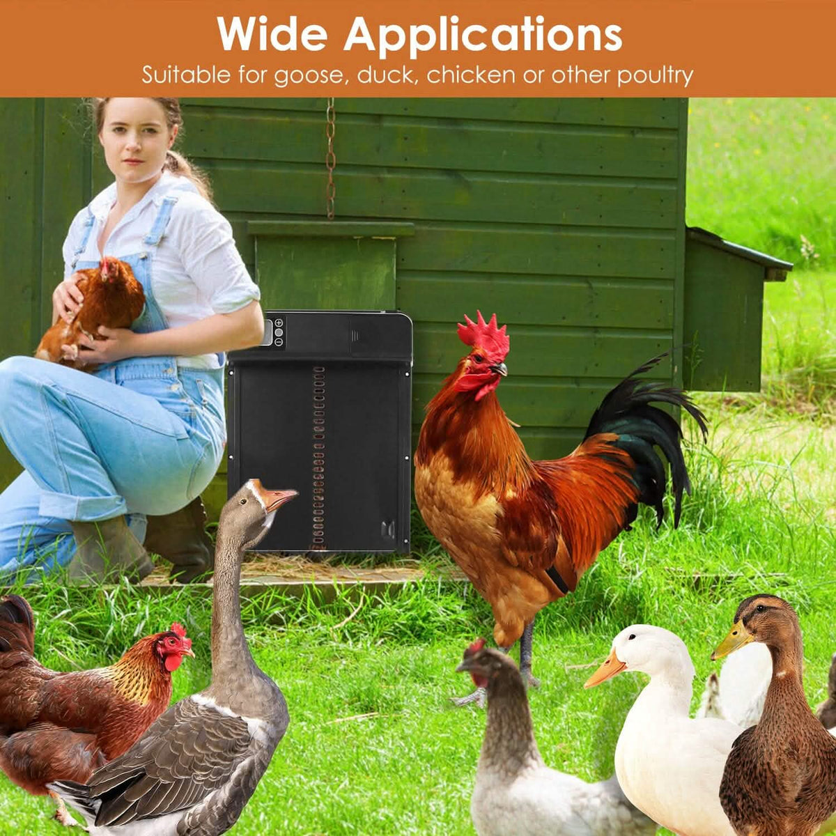Automatic Chicken Coop Door with Timer Setting