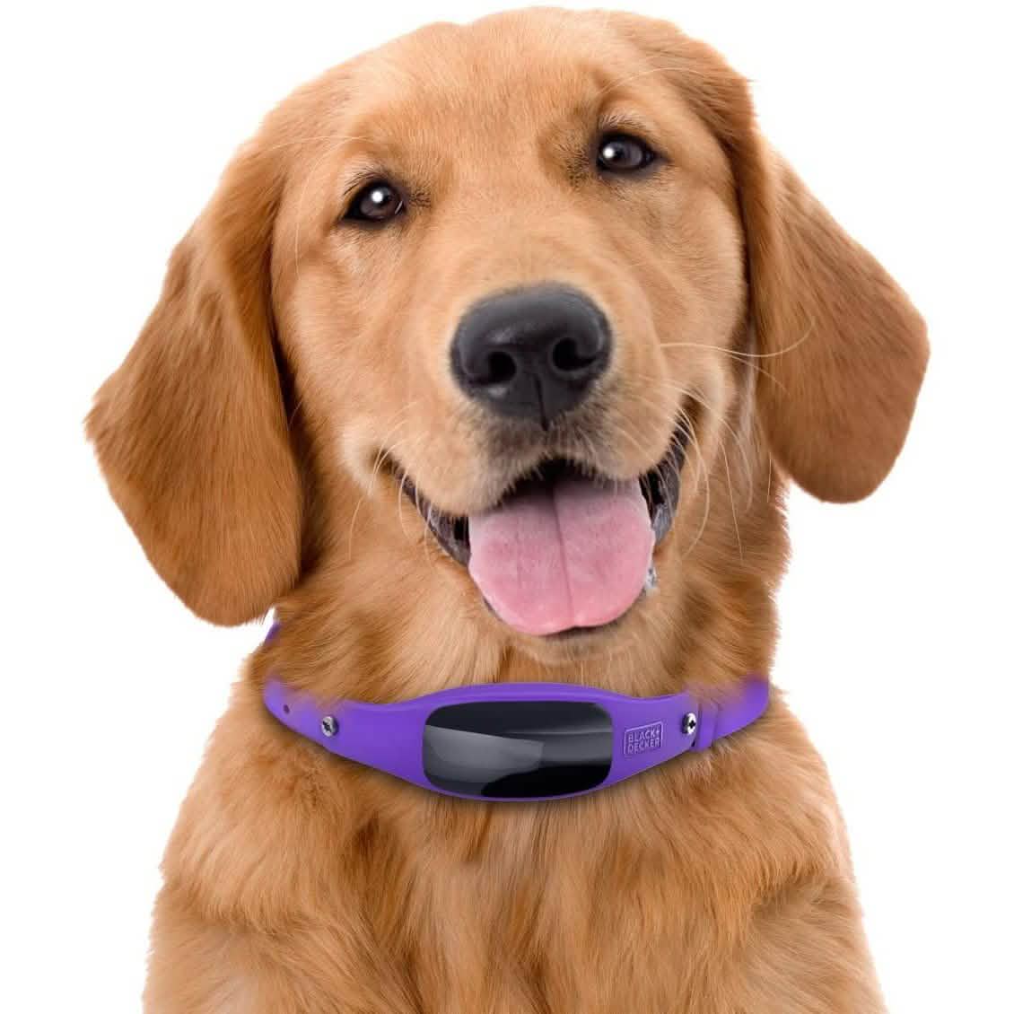 Black+Decker Smart Dog Collar