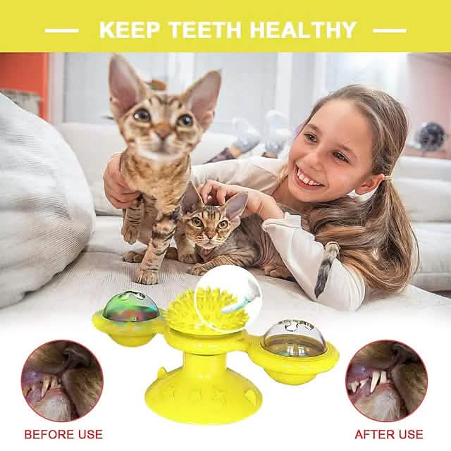 Cat Teases Interactive Pet Toy