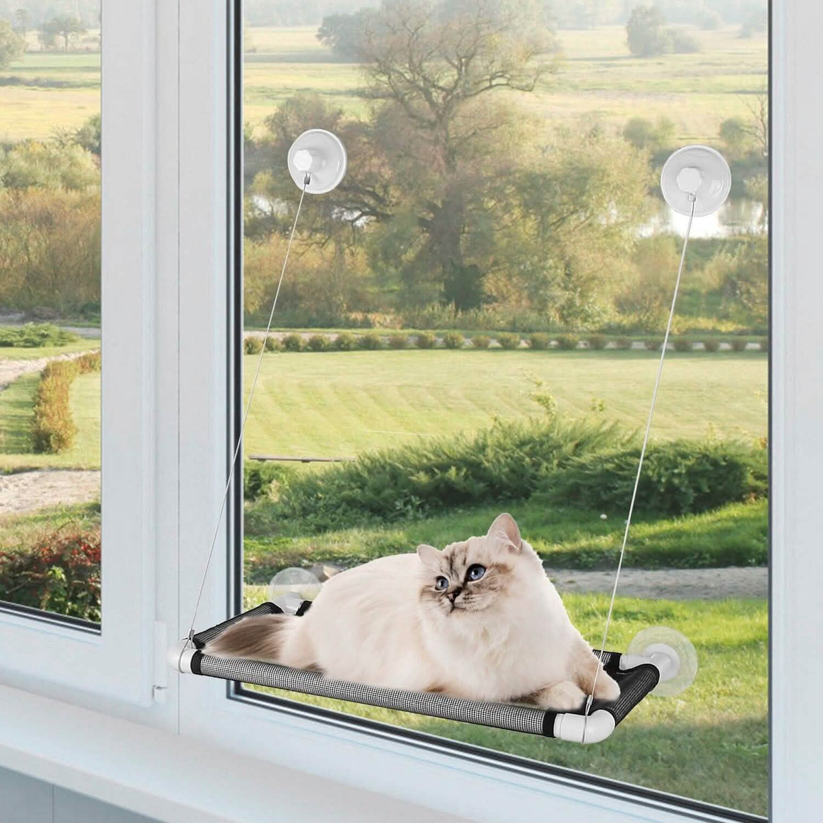 Cat Window Perch Cat Hammock Window Seat