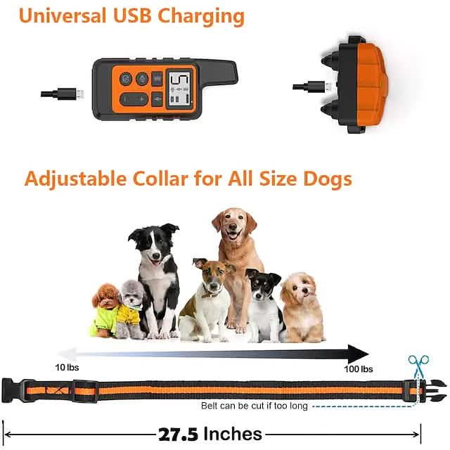Dog Training Shock Collar