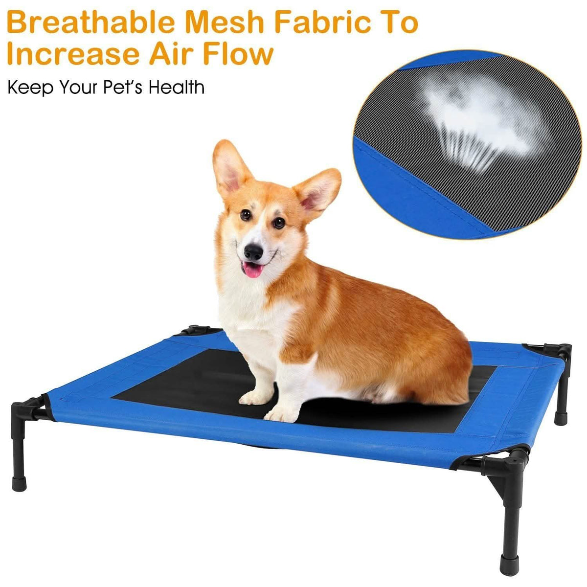 Elevated Dog Cot Bed
