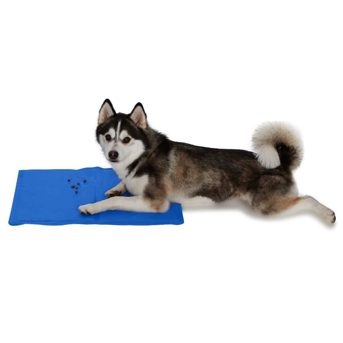 EZ-PET Pressure Activated Gel Technology Cooling Mat