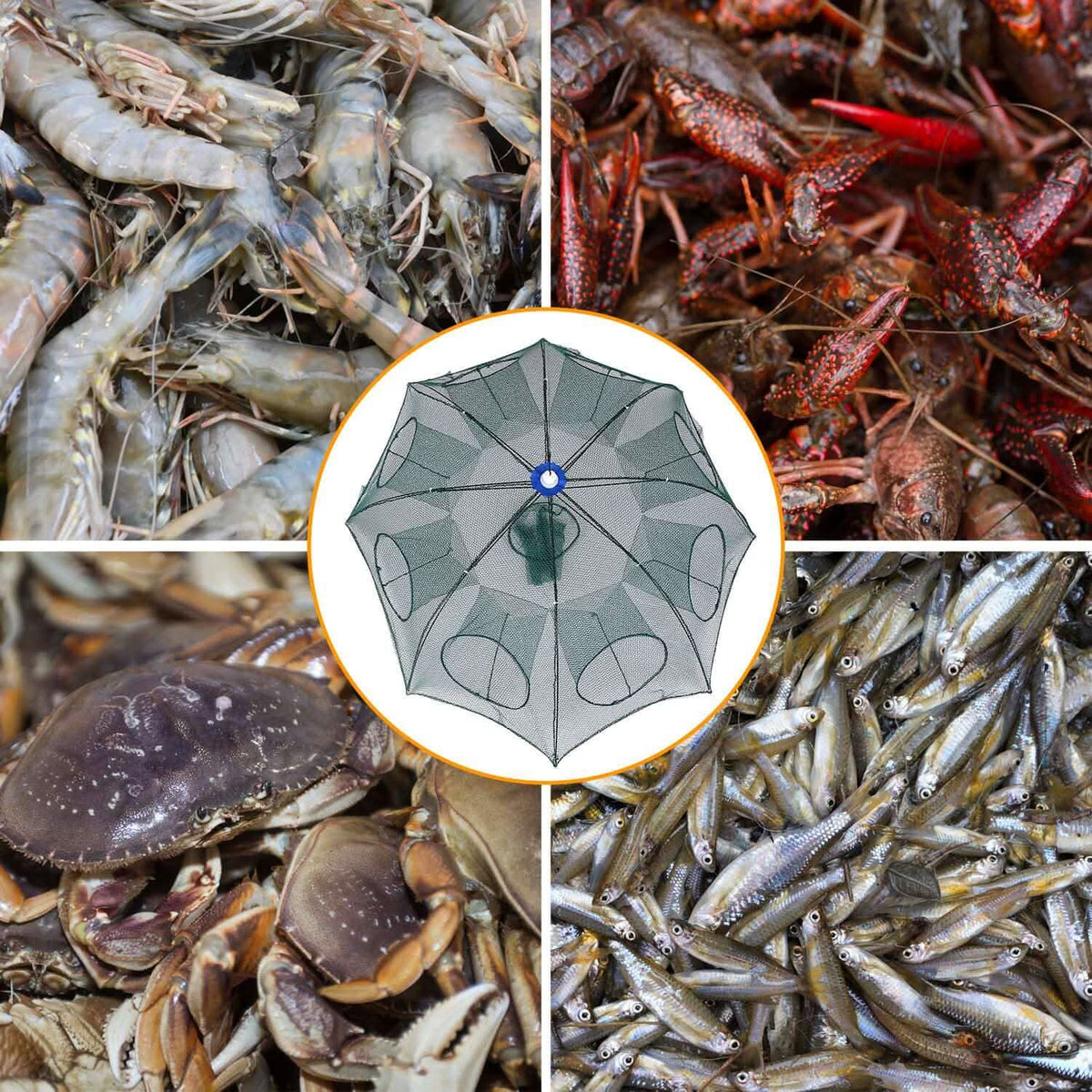 Foldable Fishing Bait Net Trap