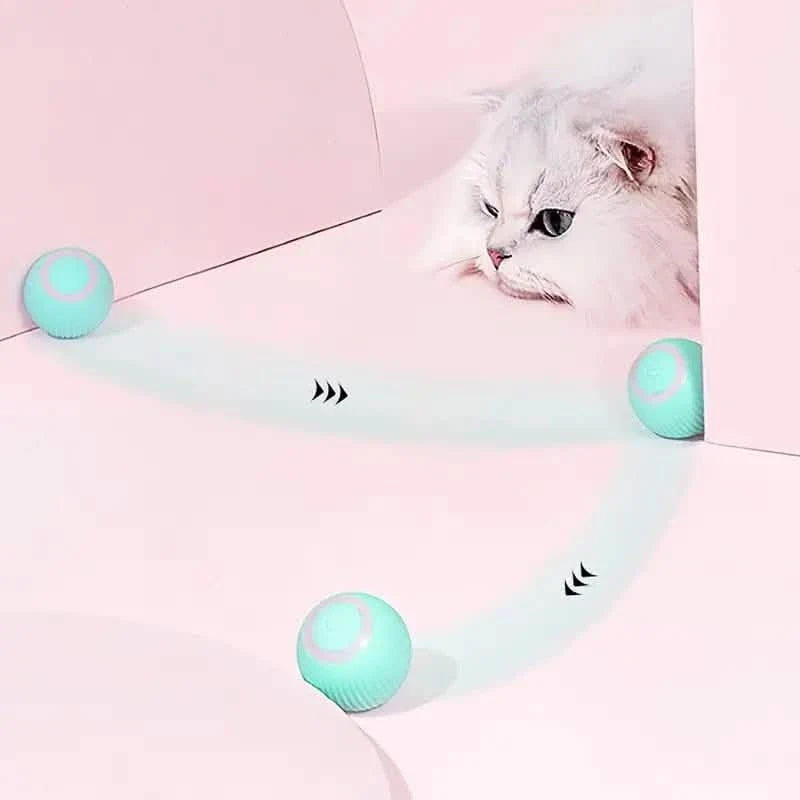 Found Notice Smart Interactive Cat Toy