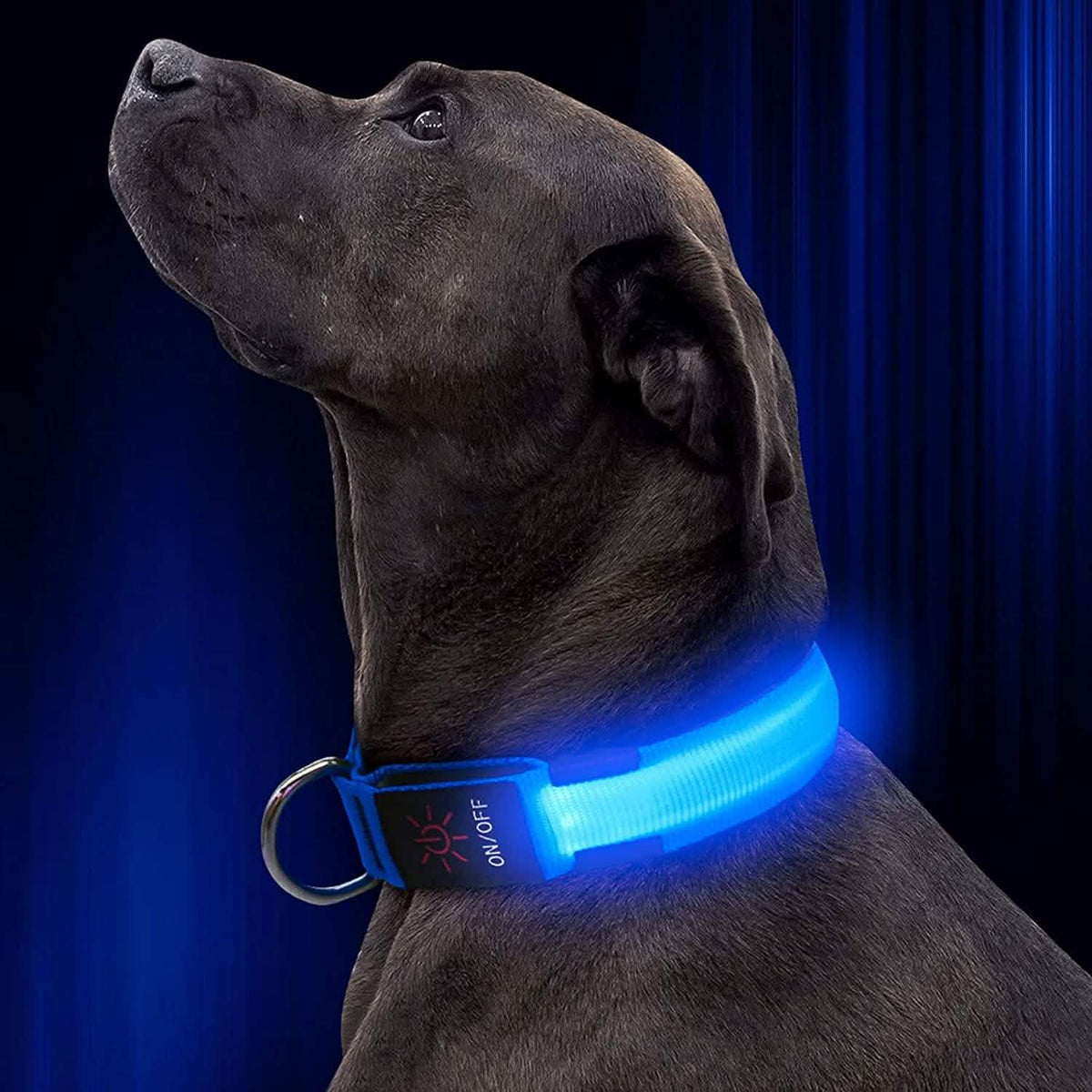 LED Pet Collar