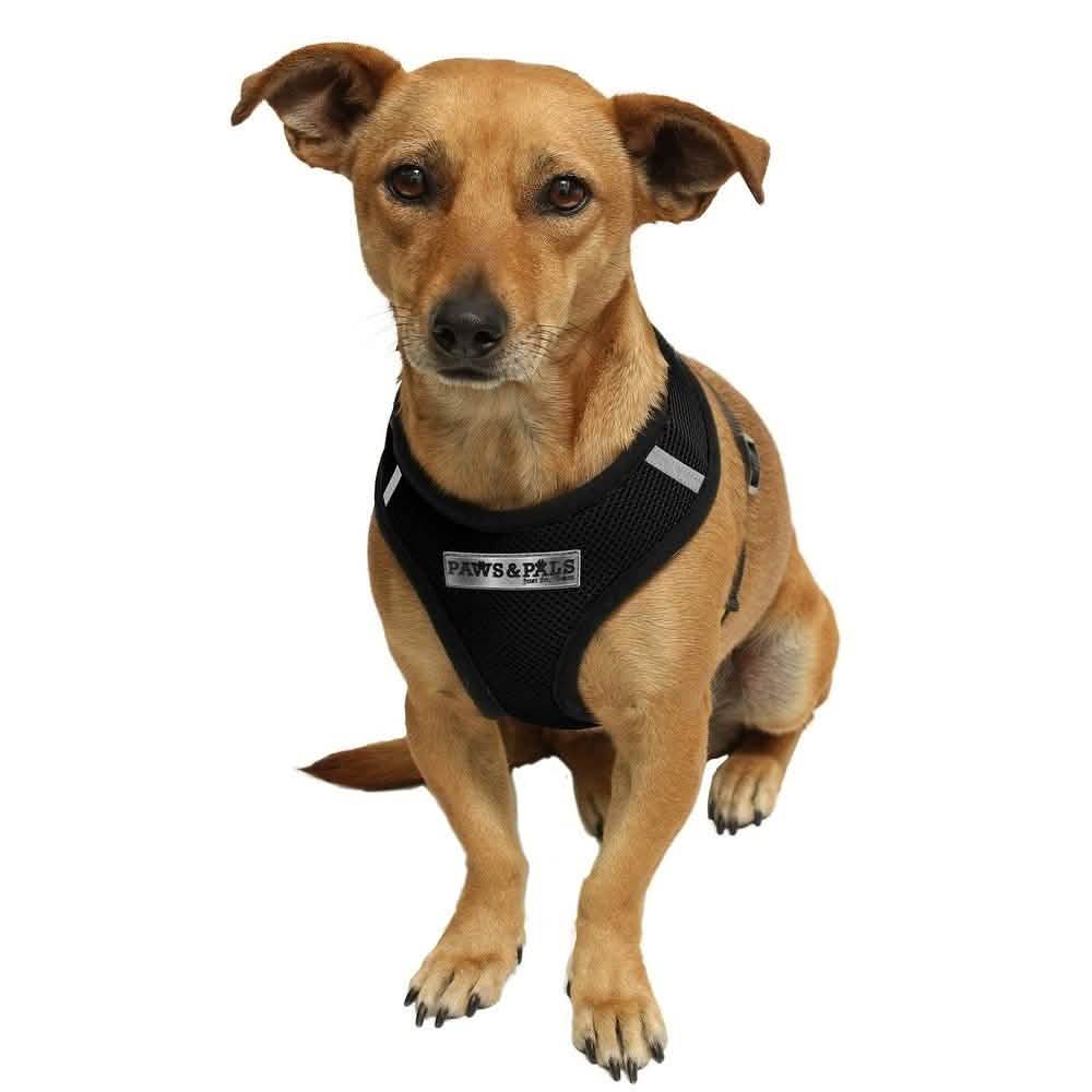 OxGord Cat or Dog Comfort Travel Portable Pet Harness