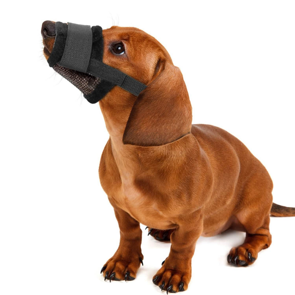 Pet Dog Muzzle Mask Adjustable Dog Mouth Cover
