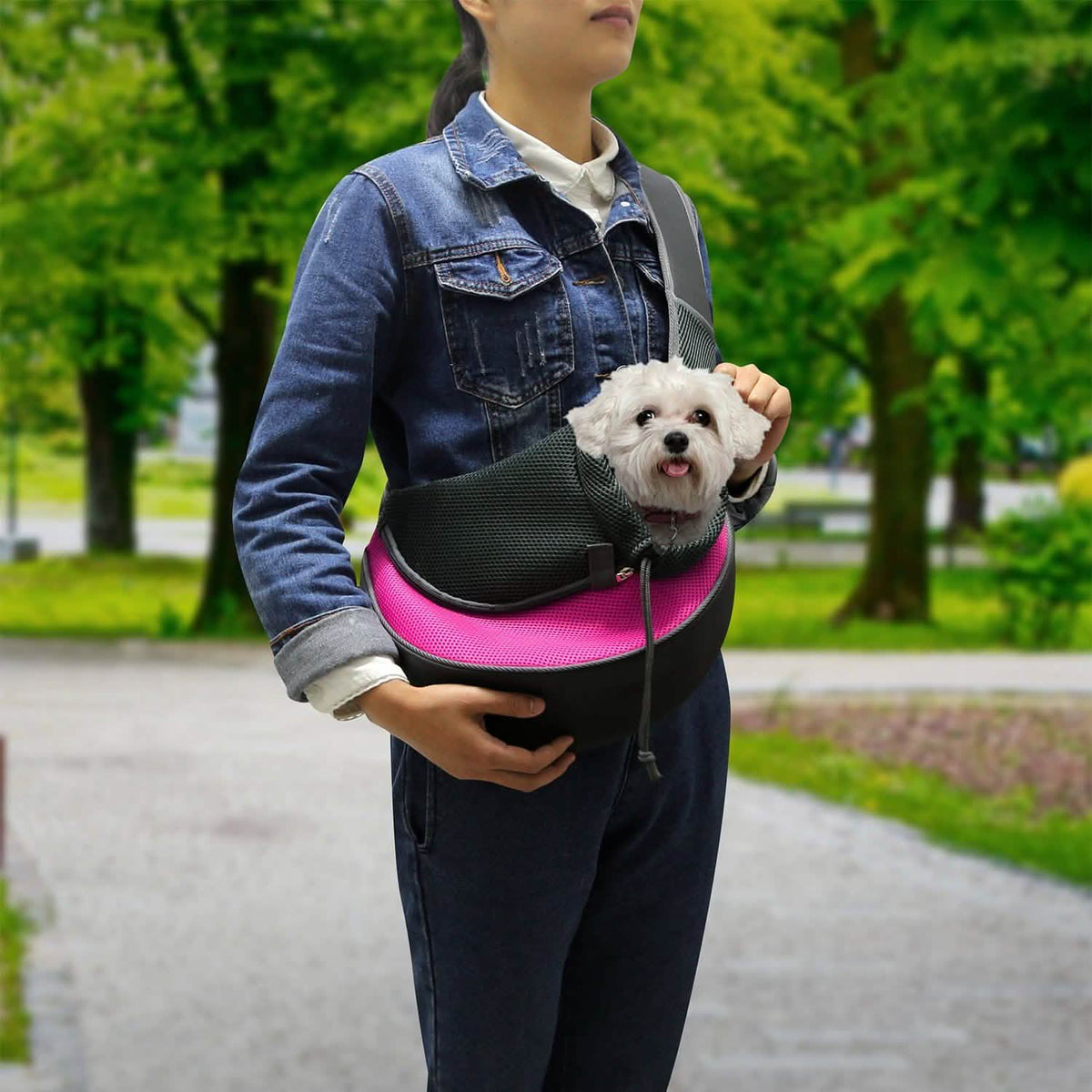 Pet Puppy Carrier