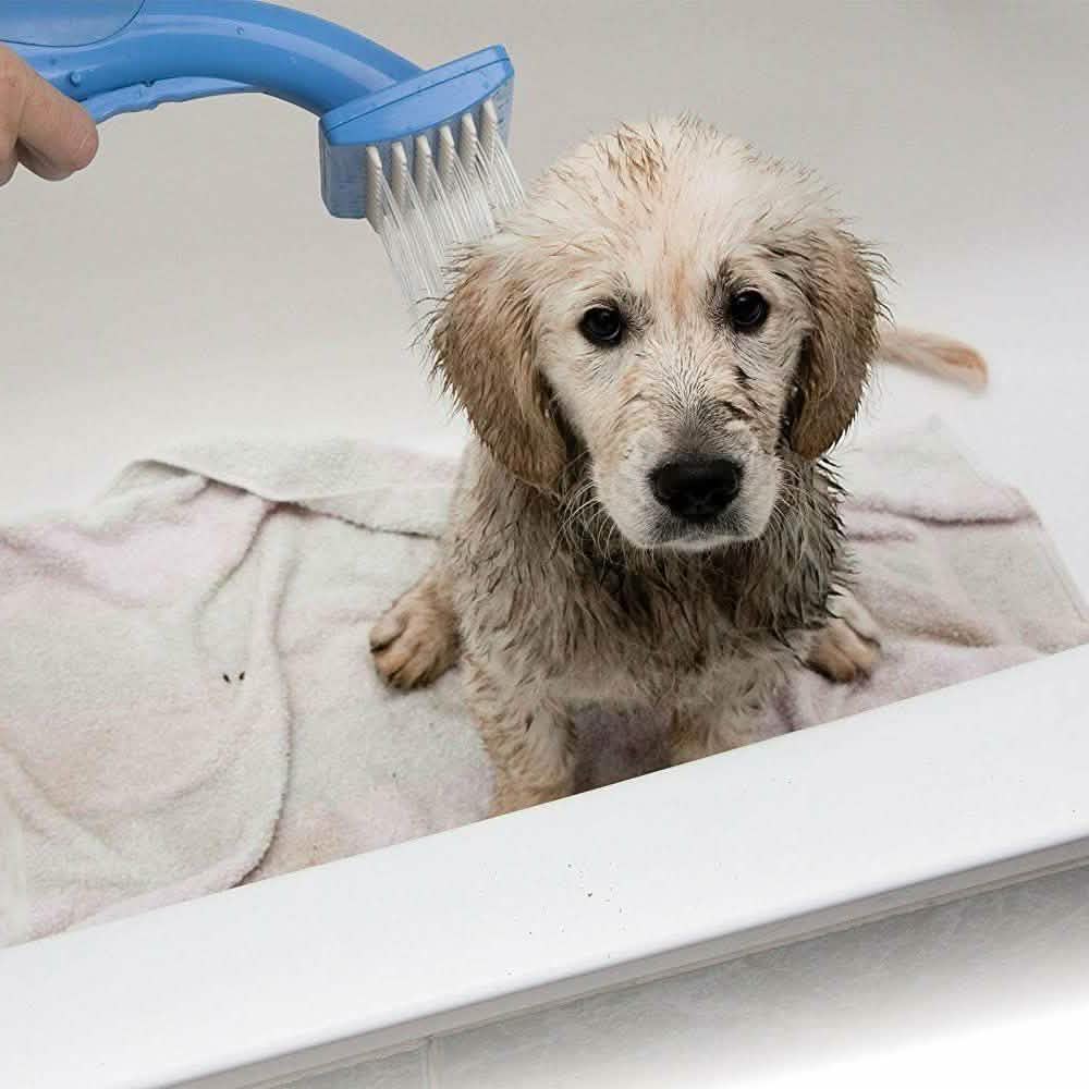 Pet Zoom Bathe and Groom Indoor Outdoor Dog Washer