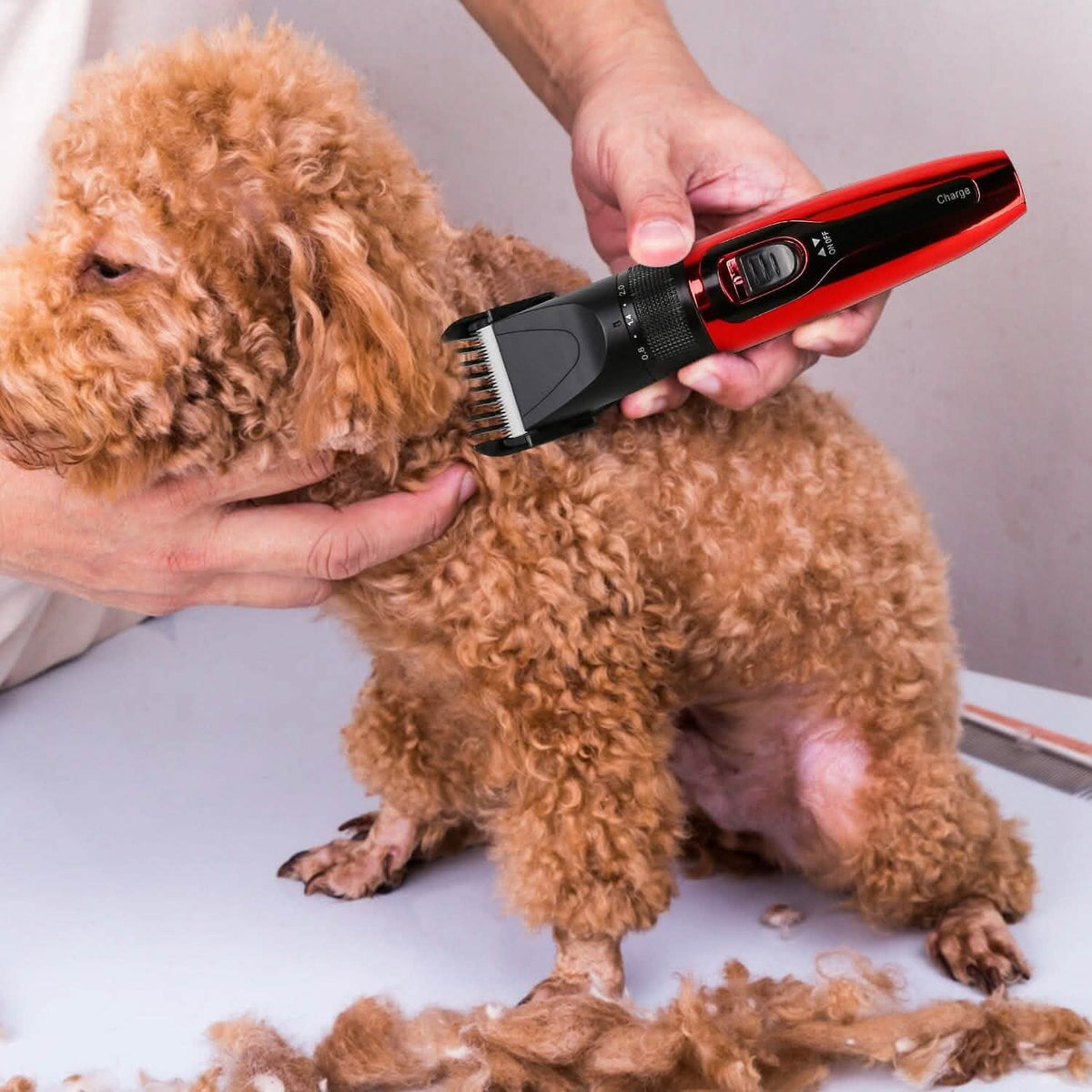 Rechargeable Cordless Pet Grooming Kit