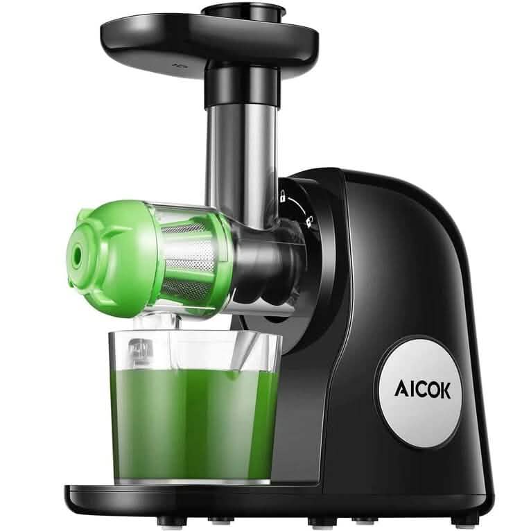Slow Masticating Juicer Extractor Cold Press Juicer with Brush