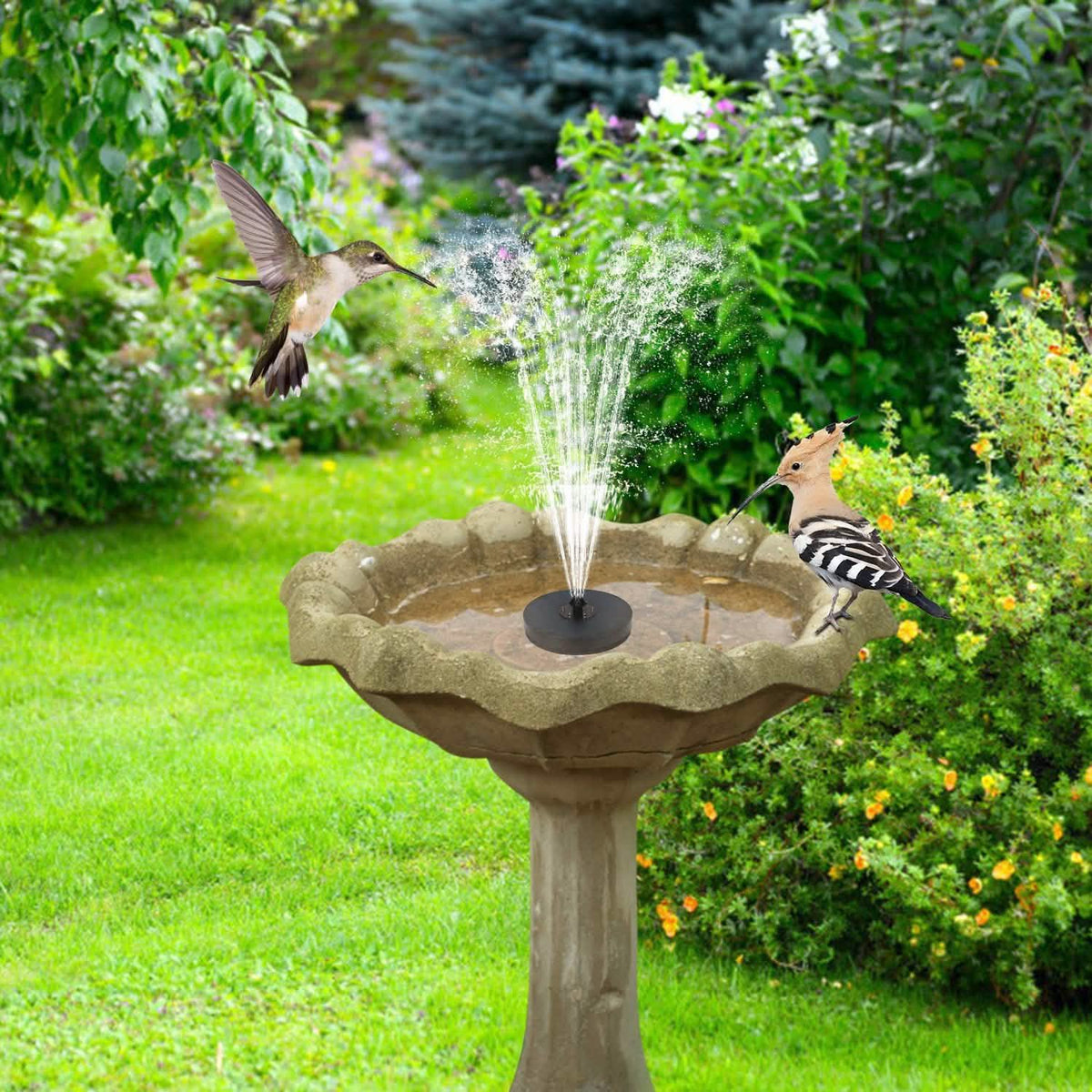 Solar Powered Fountain Pump with LED Lights