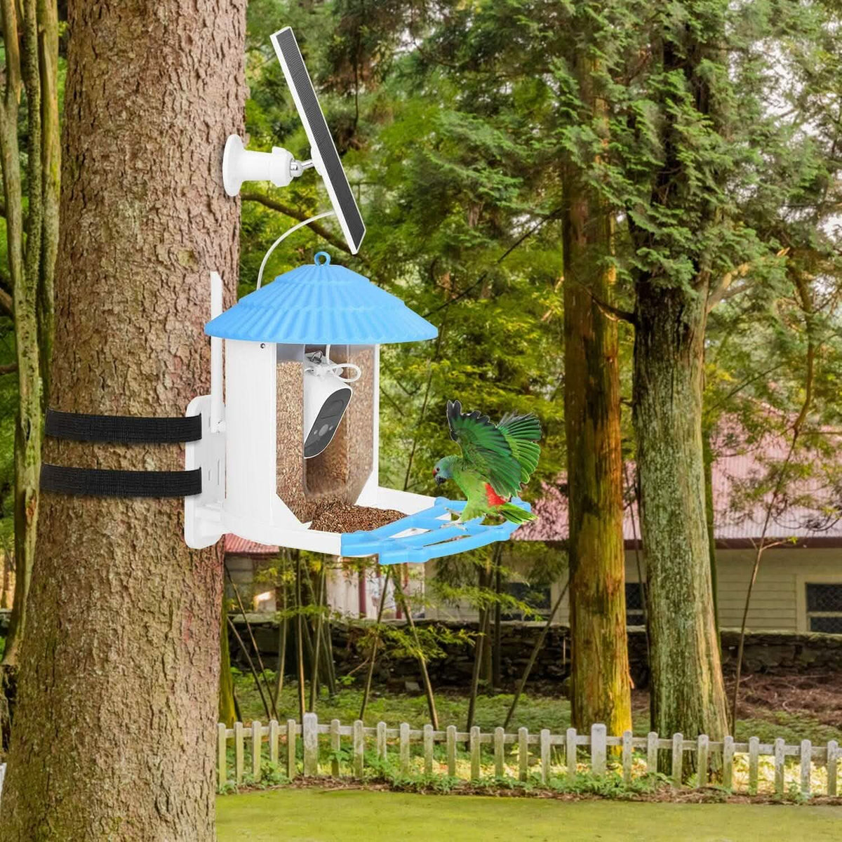 Solar Powered Smart Bird Feeder with PIR Motion AI Two-Way Audio