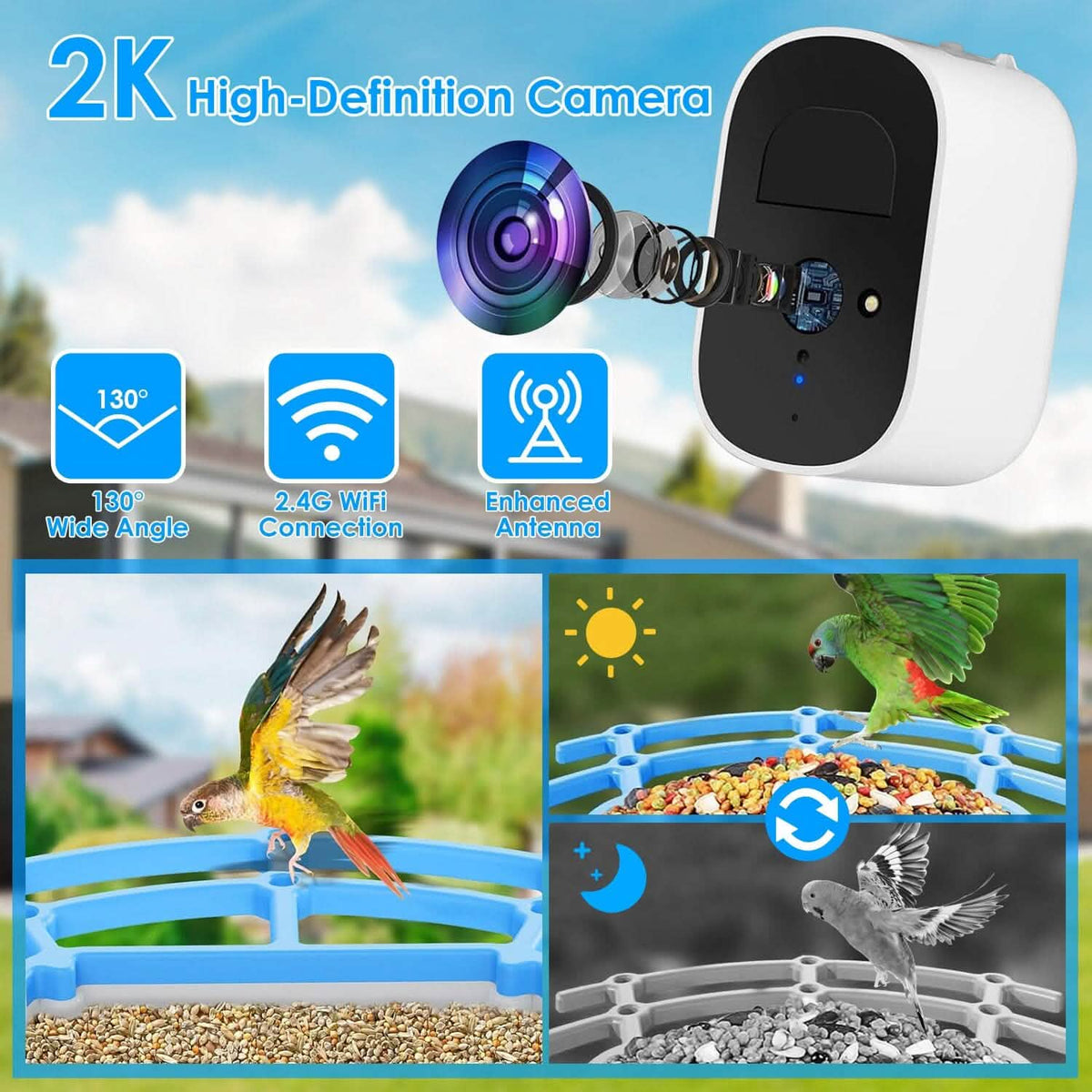Solar Powered Smart Bird Feeder with PIR Motion AI Two-Way Audio