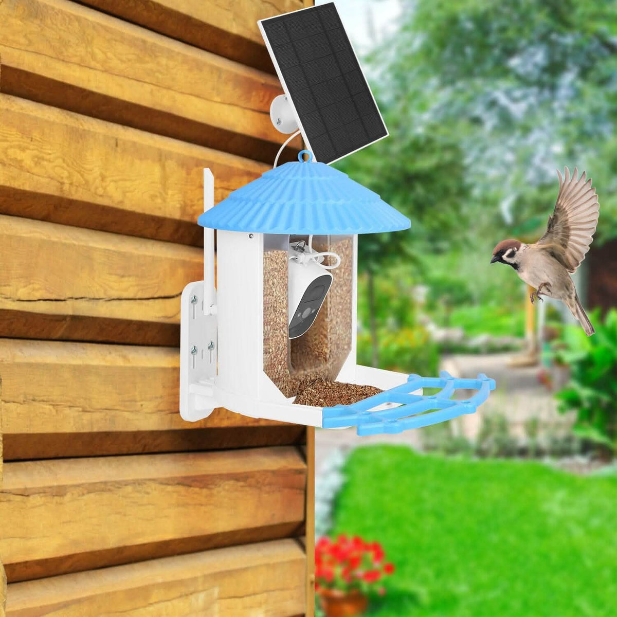 Solar Powered Smart Bird Feeder with PIR Motion AI Two-Way Audio