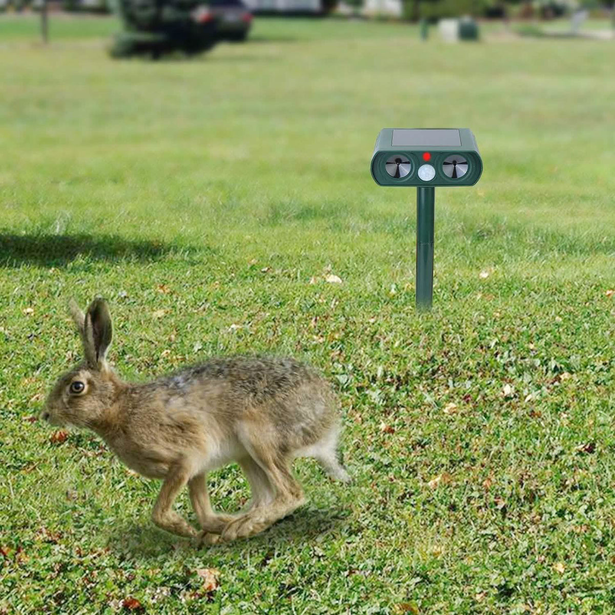 Solar Powered Ultrasonic Animal Repeller