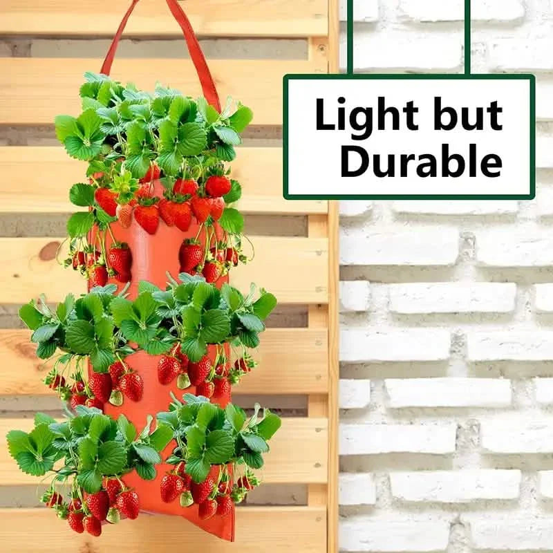 Upside Down Tomato Grow Bag