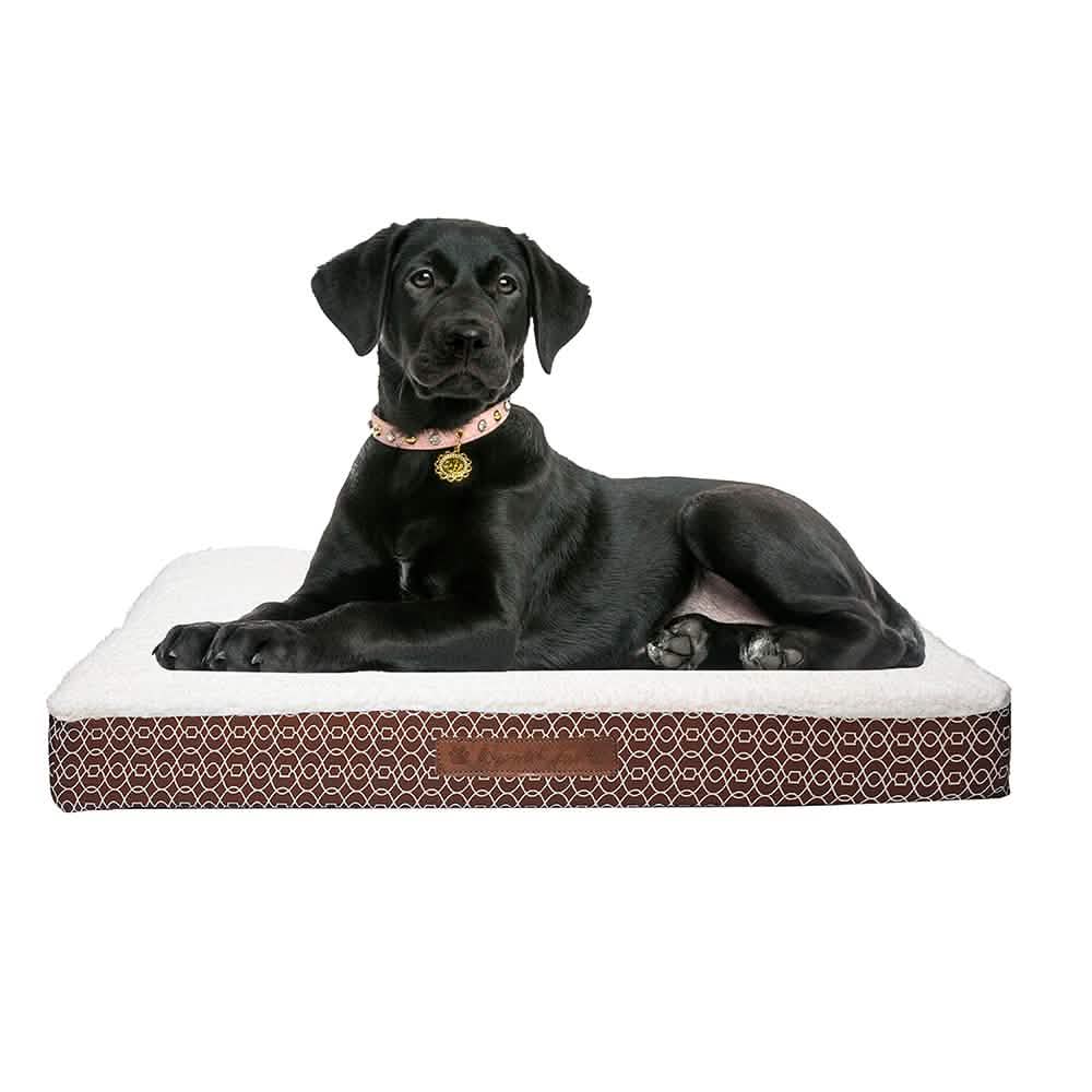 Wags & Whiskers Memory Foam Pet Bed - Assorted Styles