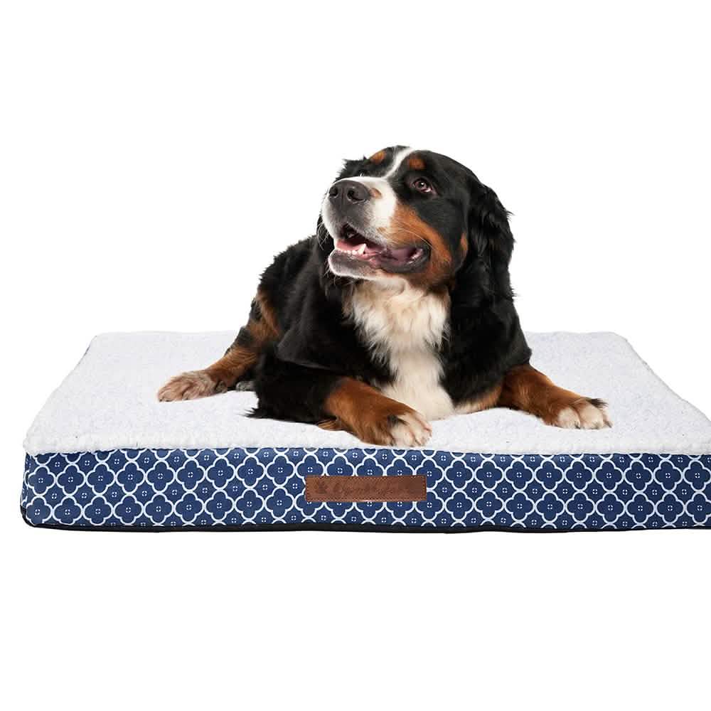 Wags & Whiskers Memory Foam Pet Bed - Assorted Styles