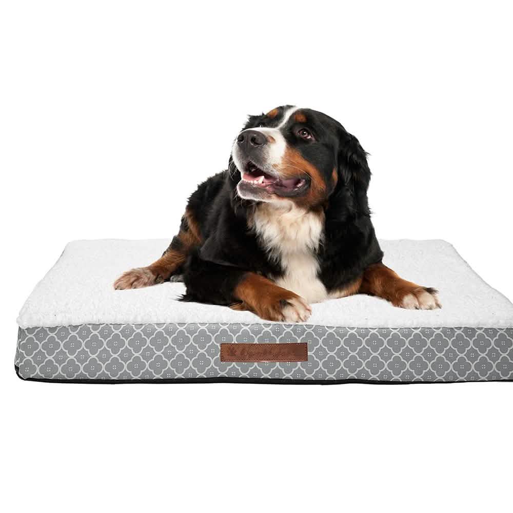Wags & Whiskers Memory Foam Pet Bed - Assorted Styles